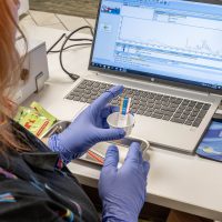 Drug checking technician holding a sample of substance in a small white cup with several test strips in it, each with a different color on the tip.