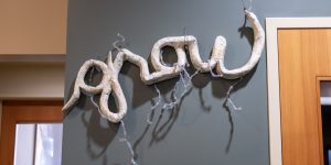 Artwork spelling out the word “grow” on a gray wall
